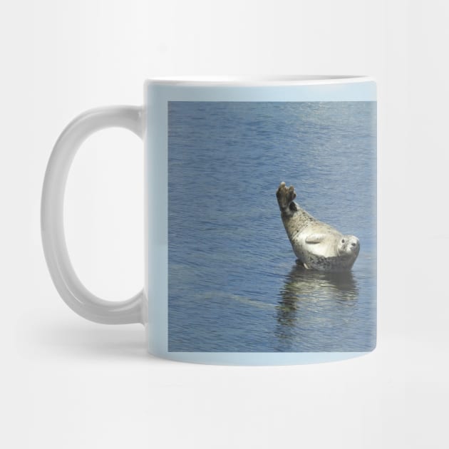 Harbor seal, marine life, wildlife gifts by sandyo2ly
